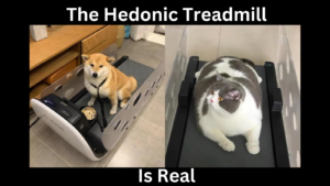 Financial Freedom Hedonic Treadmill